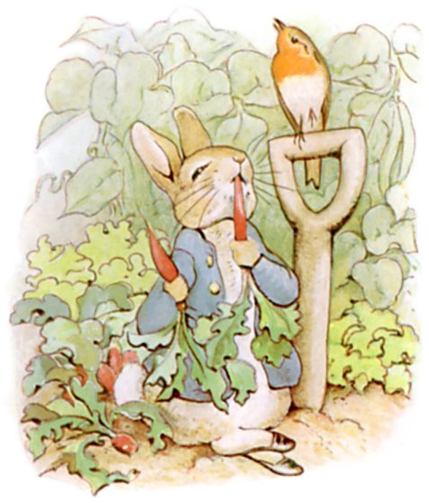 PeterRabbit8