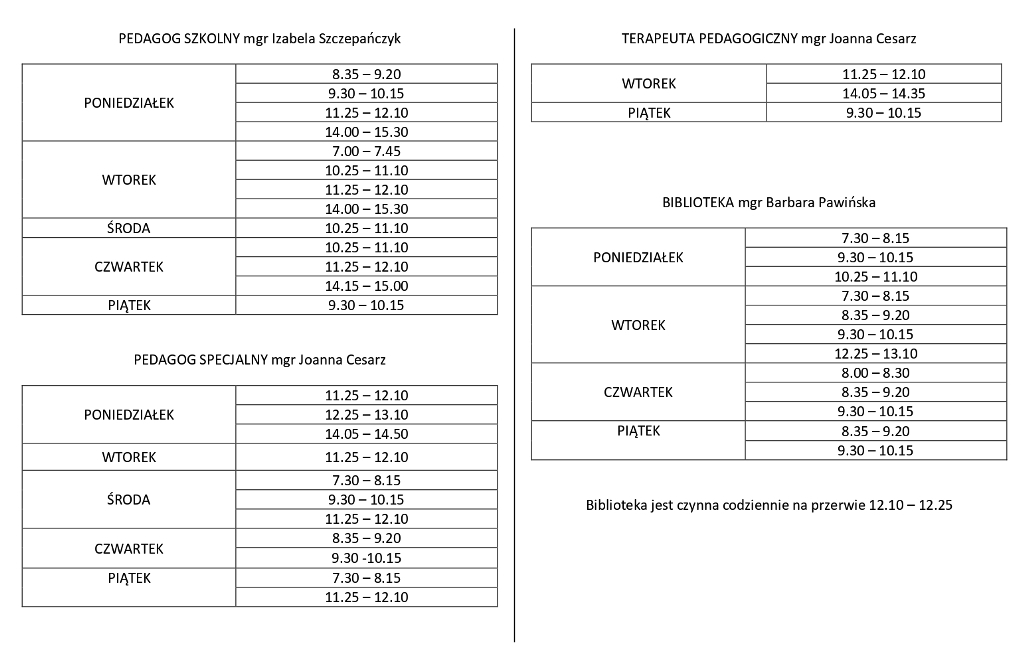 czaspracypedagogabiblioteki page-0001