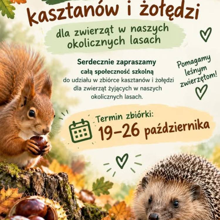 Zbiórka kasztanów i żołędzi.
