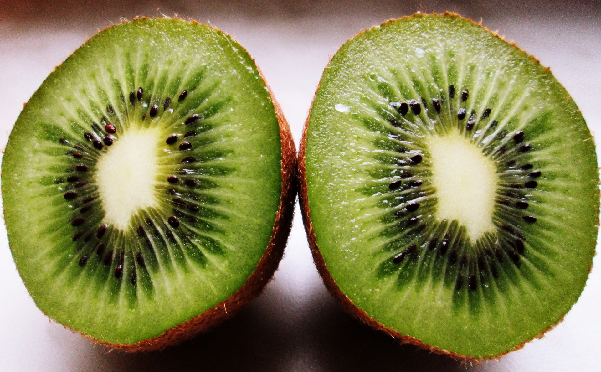 kiwi-1332950 1920